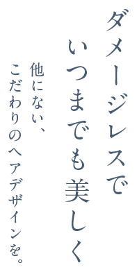 ダメージレスでいつまでも美しく