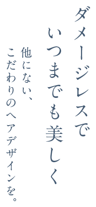 ダメージレスでいつまでも美しく